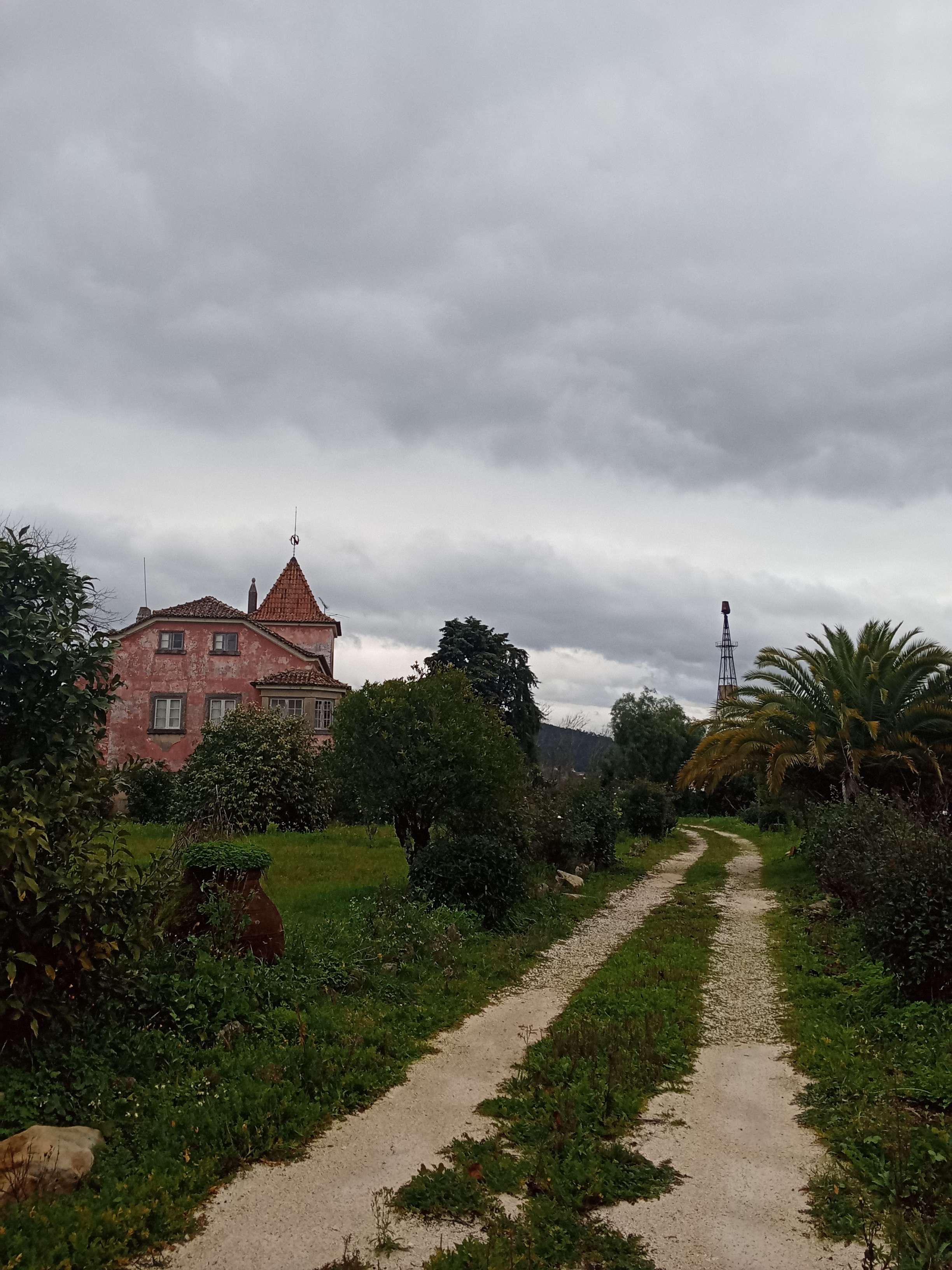 i feel proud of the composition of this one! fun fact, i took this pic through the metal bars of a big fence gate, its right next to a road even though it looks so deserted in the middle of nowhere!